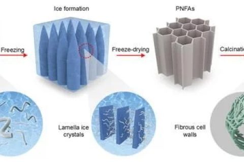 中國科學家研究團隊成功開發(fā)出一種耐火陶瓷納米纖維氣凝膠