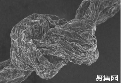 用石墨烯調(diào)控可望制備高性能纖維