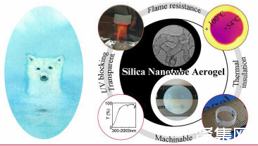 ?同濟大學受北極熊毛發(fā)結構啟發(fā)構建新型二氧化硅納米管氣凝膠