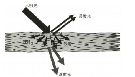 納米纖維素：透明紙基材料定義、分類、制備方法及應(yīng)用