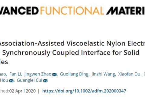 尼龍基高粘彈性聚合物固態(tài)電解質(zhì)！