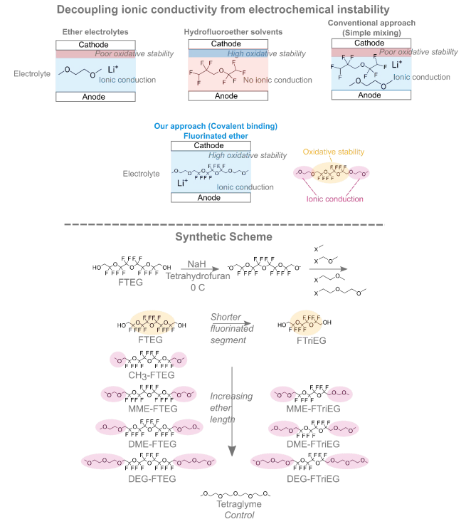 具有高電化學(xué)穩(wěn)定性的新型離子導(dǎo)電氟化醚電解質(zhì)