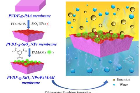 浙江大學黃小軍團隊在PVDF油水分離膜、梯度膜生物檢測傳感領(lǐng)域取得系列進展