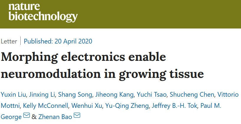 鮑哲南《Nature Biotech. 》: 可形變生物電子器件攻克體內(nèi)植入難題