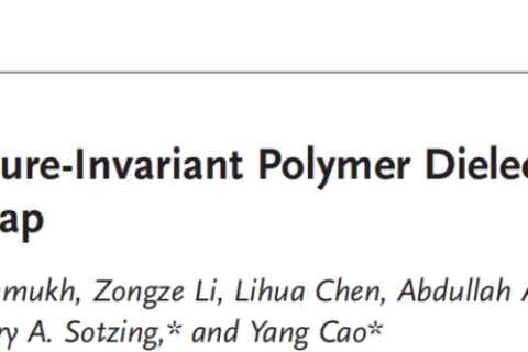 所見最佳柔性聚合物電介質(zhì)，適用于極端環(huán)境！