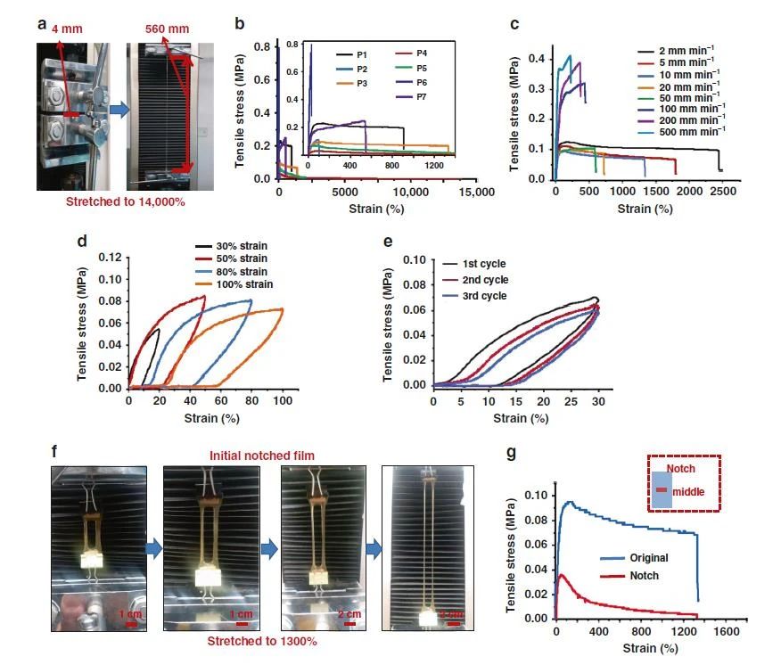 高度可拉伸自修復彈性體，可在各種極端條件下實現(xiàn)自修復