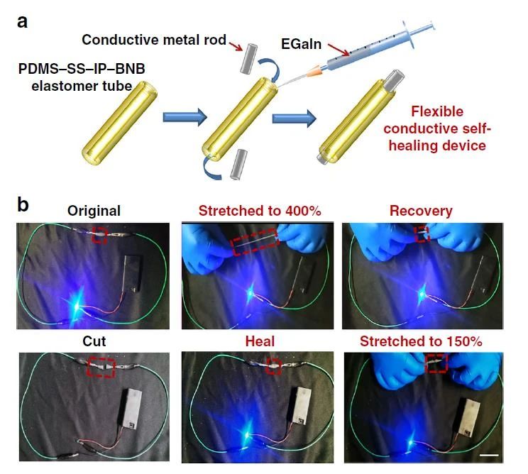 高度可拉伸自修復彈性體，可在各種極端條件下實現(xiàn)自修復