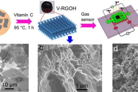 用于高性能氣體檢測(cè)的三維功能化石墨烯水凝膠，兼具三維和綠色合成！