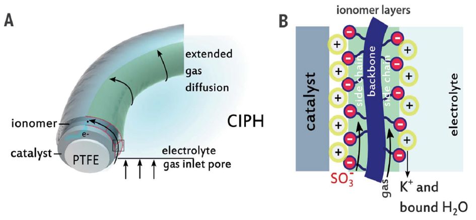 震撼！僅2個(gè)月，發(fā)表1篇Science，10余篇子刊/AM/JACS—加拿大兩院院士Sargent教授成果集錦