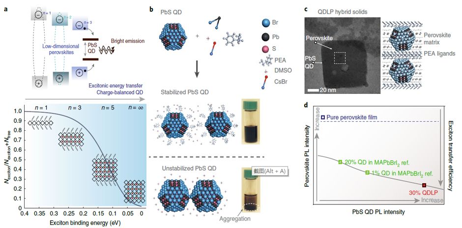 震撼！僅2個(gè)月，發(fā)表1篇Science，10余篇子刊/AM/JACS—加拿大兩院院士Sargent教授成果集錦