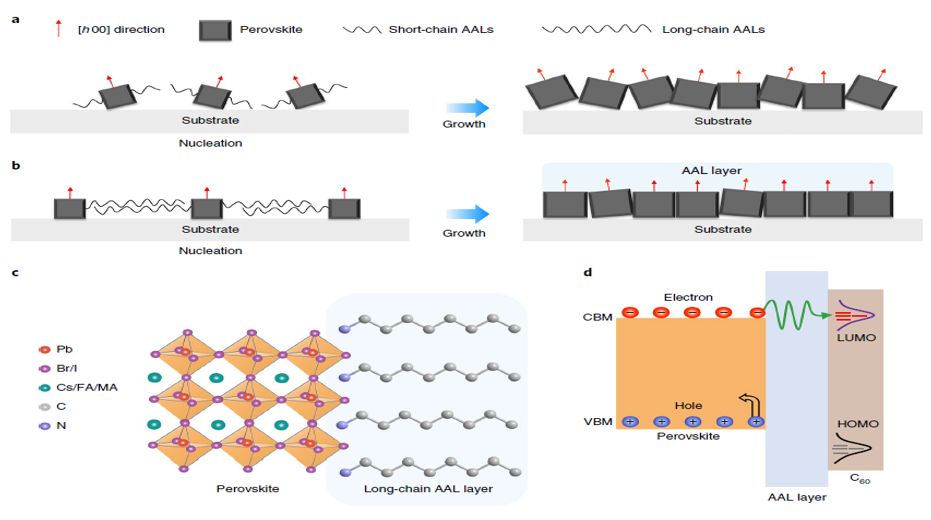 震撼！僅2個(gè)月，發(fā)表1篇Science，10余篇子刊/AM/JACS—加拿大兩院院士Sargent教授成果集錦