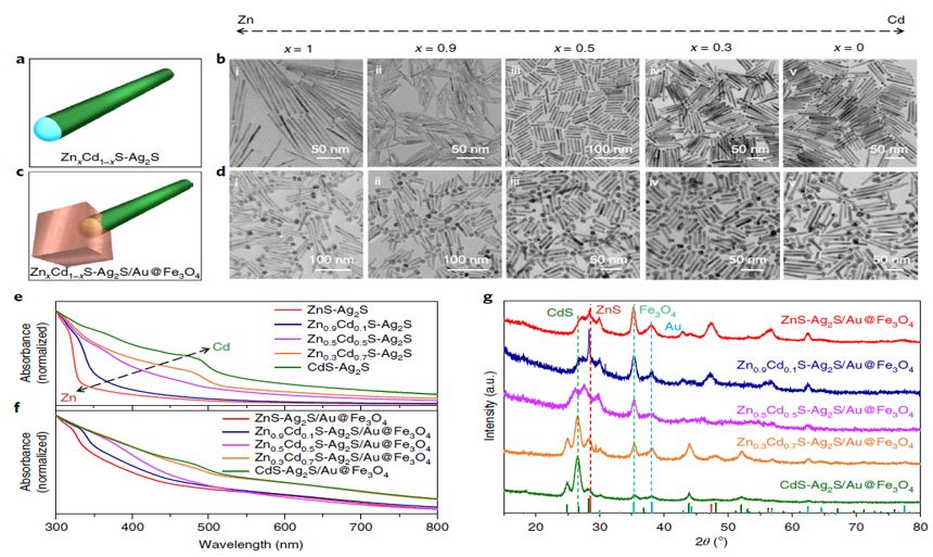 震撼！僅2個(gè)月，發(fā)表1篇Science，10余篇子刊/AM/JACS—加拿大兩院院士Sargent教授成果集錦