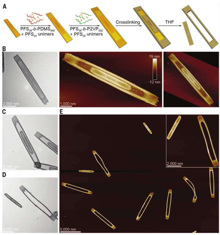 1個體系做了十余年，磨出5篇《Science》！這些膠束形貌美到令人窒息！