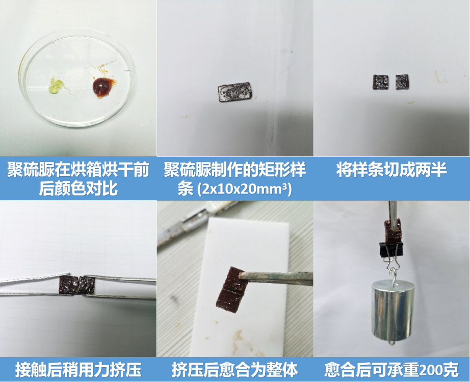 《Macromolecules》：構建多功能聚硫脲的無催化合成策略