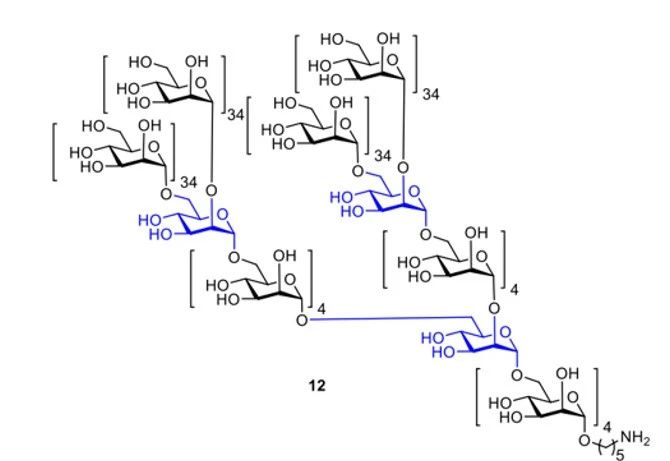 《Nature》譽為“糖之父”的Seeberger打破世界紀錄，史上最長人工合成多糖！