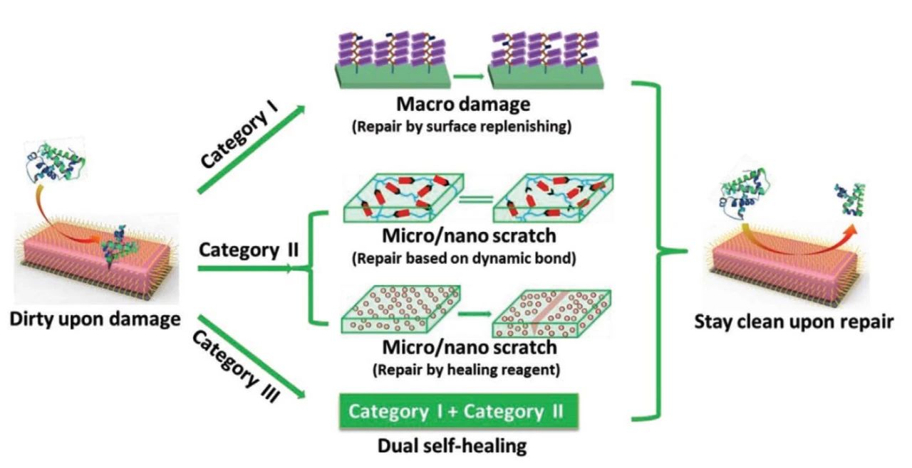 自修復(fù)防污材料的最新研究進展