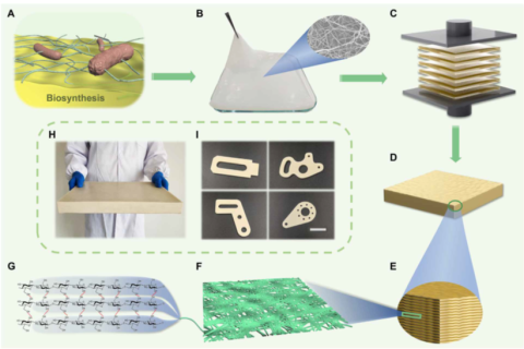 中科大俞書宏院士團隊：又輕、又強、又韌、又尺寸穩(wěn)定的纖維素基結(jié)構(gòu)材料