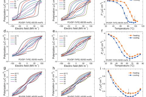 首次發(fā)現(xiàn)馳豫鐵電體中普遍存在熱滯后效應(yīng)