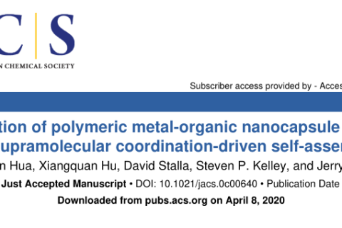 通過超分子配位驅(qū)動的自組裝技術(shù)構(gòu)建高分子金屬-有機(jī)納米膠囊網(wǎng)絡(luò)