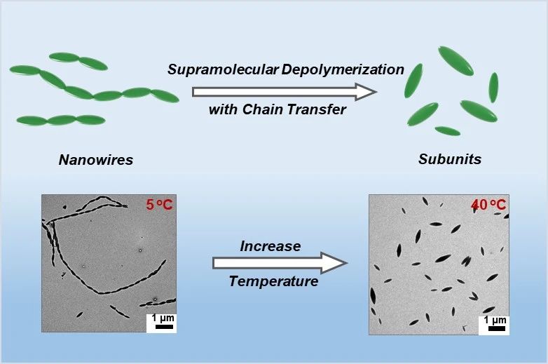 華東理工林嘉平教授團(tuán)隊在多級納米線的超分子解聚取得新進(jìn)展