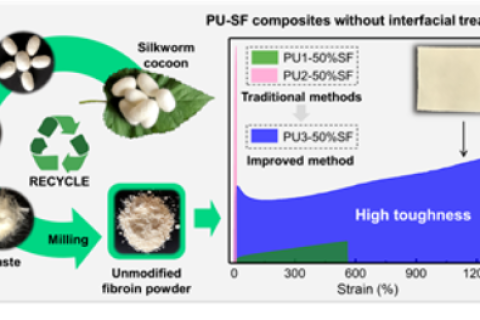 武漢紡織大學(xué)徐衛(wèi)林教授團(tuán)隊(duì)《ACS AMI》：廢棄蠶絲再遇聚氨酯