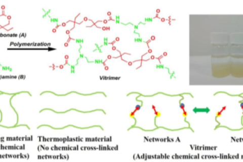 “一箭多雕”：Vitrimers賦予天然多孔生物質(zhì)基儲能材料多功能特性