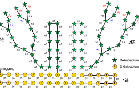 《Nature》譽為“糖之父”的Seeberger打破世界紀錄，史上最長人工合成多糖！