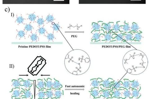 《AFM》：加點PEG，導(dǎo)電高分子實現(xiàn)自修復(fù)！