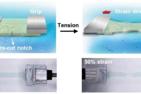 史上最柔！新型抗撕裂、自愈合柔性半導體！