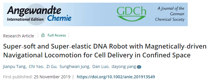 天津大學(xué)仰大勇《德國應(yīng)化》：超軟超彈磁驅(qū)動(dòng)導(dǎo)航DNA軟體機(jī)器人用于受限空間細(xì)胞遞送