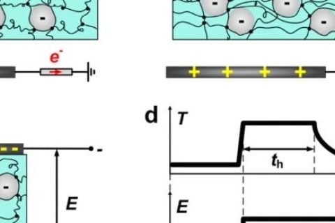 哈佛大學(xué)鎖志剛院士團(tuán)隊(duì)：用這種方法，可伸縮駐極體儲(chǔ)存電荷60天
