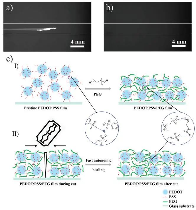 《AFM》：加點PEG，導電高分子實現(xiàn)自修復！