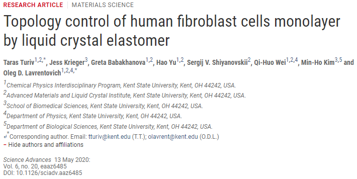 《Science》子刊：液晶彈性體控制單層成纖維細胞的拓撲結構