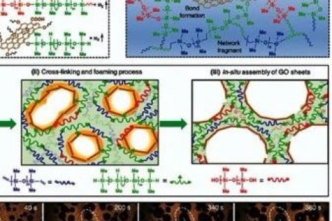 杭州師范大學湯龍程：具有協(xié)同阻燃效應的氧化石墨烯反應組裝硅橡膠泡沫材料
