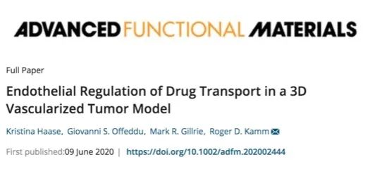 MIT《先進功能材料》:3D血管化腫瘤芯片檢測腫瘤藥物輸送