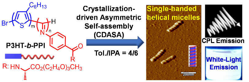 合工大吳宗銓教授《Angew》:結晶驅動嵌段共聚物不對稱自組裝以及聚集誘導白光和圓偏振光發(fā)光