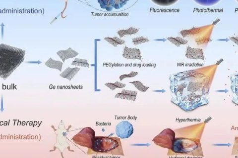 哈佛大學(xué)首用鍺烯！《Matter》鍺烯水凝膠用于抗腫瘤復(fù)發(fā)和傷口感染