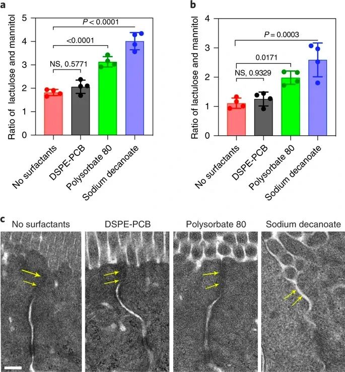 美國韋恩州立大學(xué)曹智強(qiáng)《Nat.Nanotech.》:高效口服胰島素問世，兩性膠束遞送胰島素?zé)o需打開緊密連接