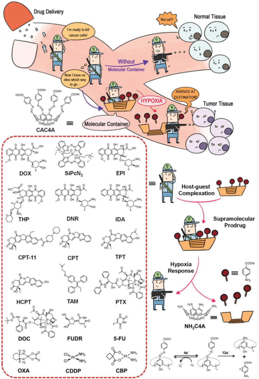史林啟/劉陽/郭東升《先進(jìn)材料》：以低氧敏感超分子作船，載藥劃向腫瘤