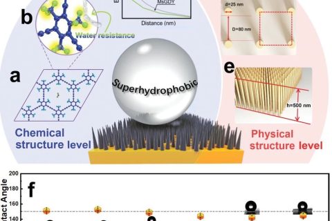 中科院青能所黃長(zhǎng)水《Small》：超穩(wěn)定超疏水石墨炔陣列，800天接觸角基本無(wú)變化！