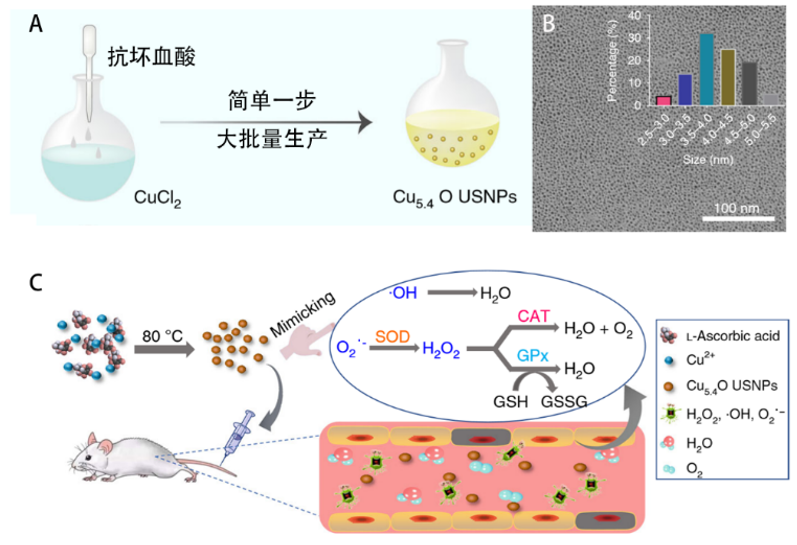 陸軍軍醫(yī)大學(xué)西南醫(yī)院羅高興/鄧君、美國NIH陳小元，浙大毛崢偉合作：減輕炎癥反應(yīng)的超小Cu5.4O納米酶