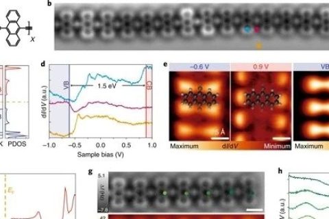 《Nature》子刊：準金屬相高分子！