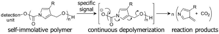 《JACS》： 像解拉鏈一樣輕松，聚合物30分鐘解聚為小分子