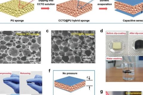 挑戰(zhàn)靈敏度極限！《AFM》：用于超高靈敏度壓力和應(yīng)變電容傳感器的泡沫復(fù)合介電材料