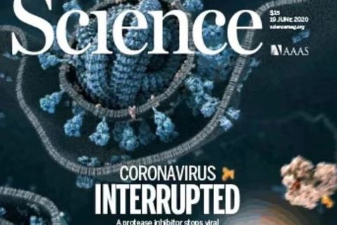 了不起！90后副教授在《science》上發(fā)表評述論文