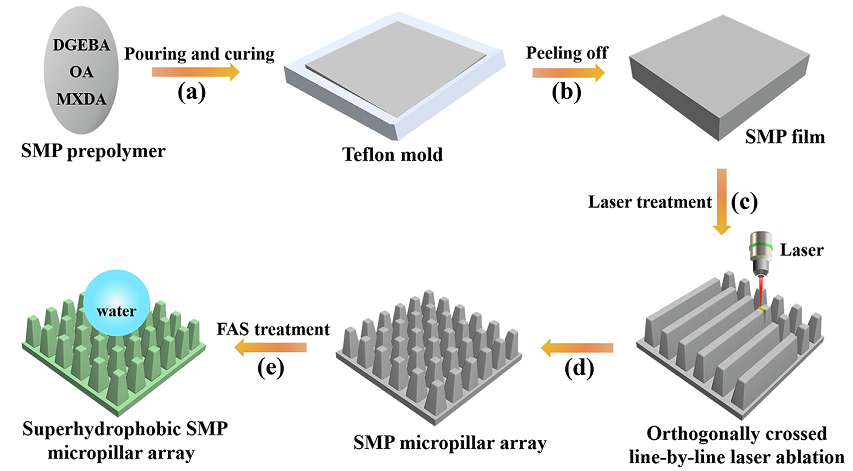 西安交通大學(xué)陳烽教授團(tuán)隊(duì)：飛秒激光構(gòu)建可調(diào)超疏水形狀記憶微結(jié)構(gòu)