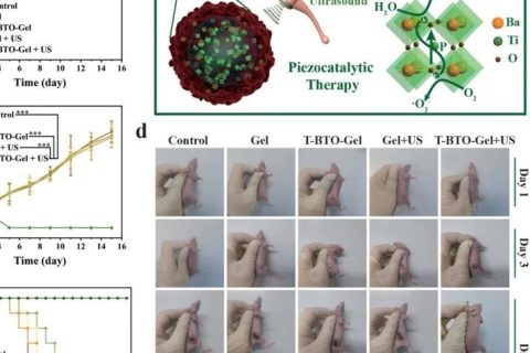 施劍林院士、陳雨研究員《先進材料》：超聲引發(fā)鈦酸鋇壓電性用于無創(chuàng)壓電催化腫瘤療法