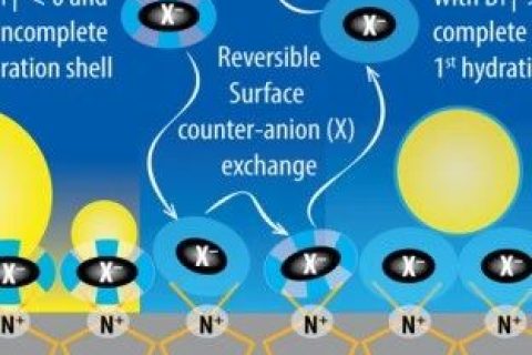 吉林大學汪大洋教授《德國應化》：陰離子水合作用新發(fā)現(xiàn)！可用于制備自清潔涂層