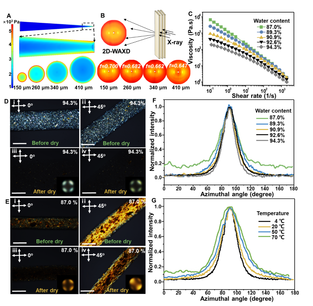 清華大學張瑩瑩課題組《PNAS》：3D打印制備超可拉伸離子神經(jīng)電極