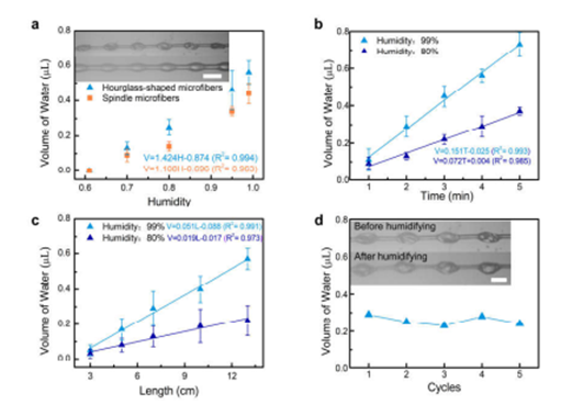 香港大學(xué)王立秋/東北大學(xué)田野：微流控仿蛛絲纖維模板法可控制備功能化沙漏型微纖維